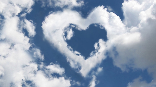 必威公司：乒乓球台子上打球